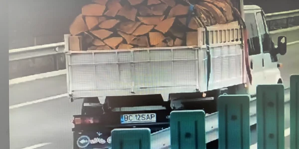 camionetă cu lemne pe autostrada A7 jpg