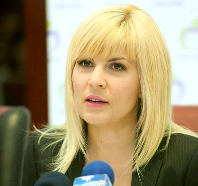 
    Elena Udrea a atras toate privirile la nunta fiului lui PrigoanăFoto: Mihai Ionescu  
