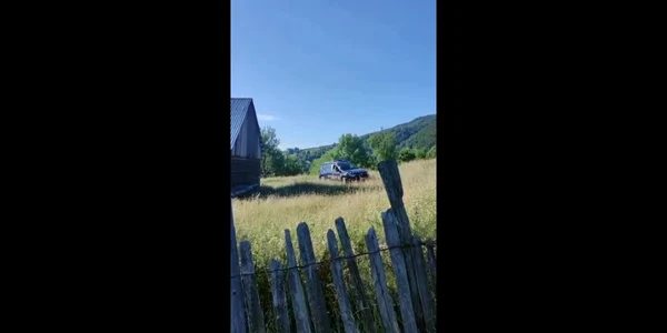 Atacul urşilor în Ţara Loviştei - Vâlcea: mai mulţi viţei ucişi pe păşune sau în grajd (Imagini IJJ Vâlcea)