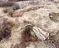 Hunedoara Rămășițe în fostul combinat siderurgic Foto Daniel Guță ADEVĂRUL (15) JPG