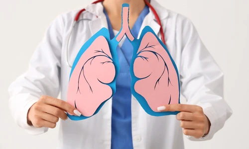 shutterstock 2480277709 jpg