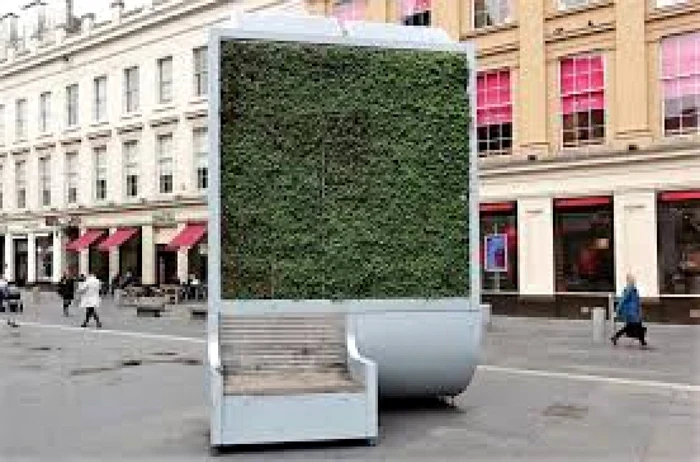 cluj city trees
