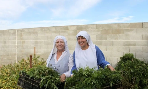 1 surorile vaii 7 jpg jpeg