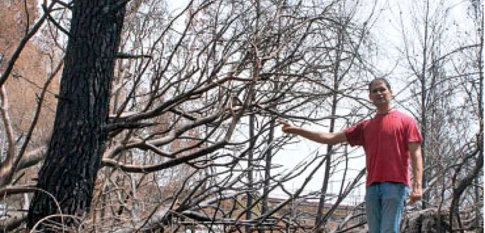 Pădurari români, în luptă cu flăcările