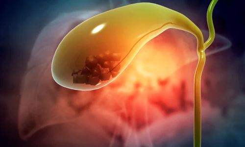 shutterstock 1667884240 jpg