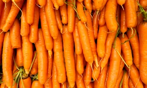 Morcovi_shutterstock 2485246259 jpg
