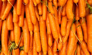 Morcovi_shutterstock 2485246259 jpg