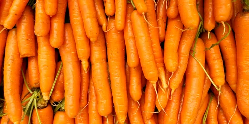 Morcovi_shutterstock 2485246259 jpg