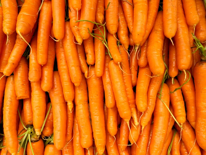 Foto: Shutterstock