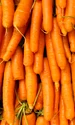 Morcovi_shutterstock 2485246259 jpg