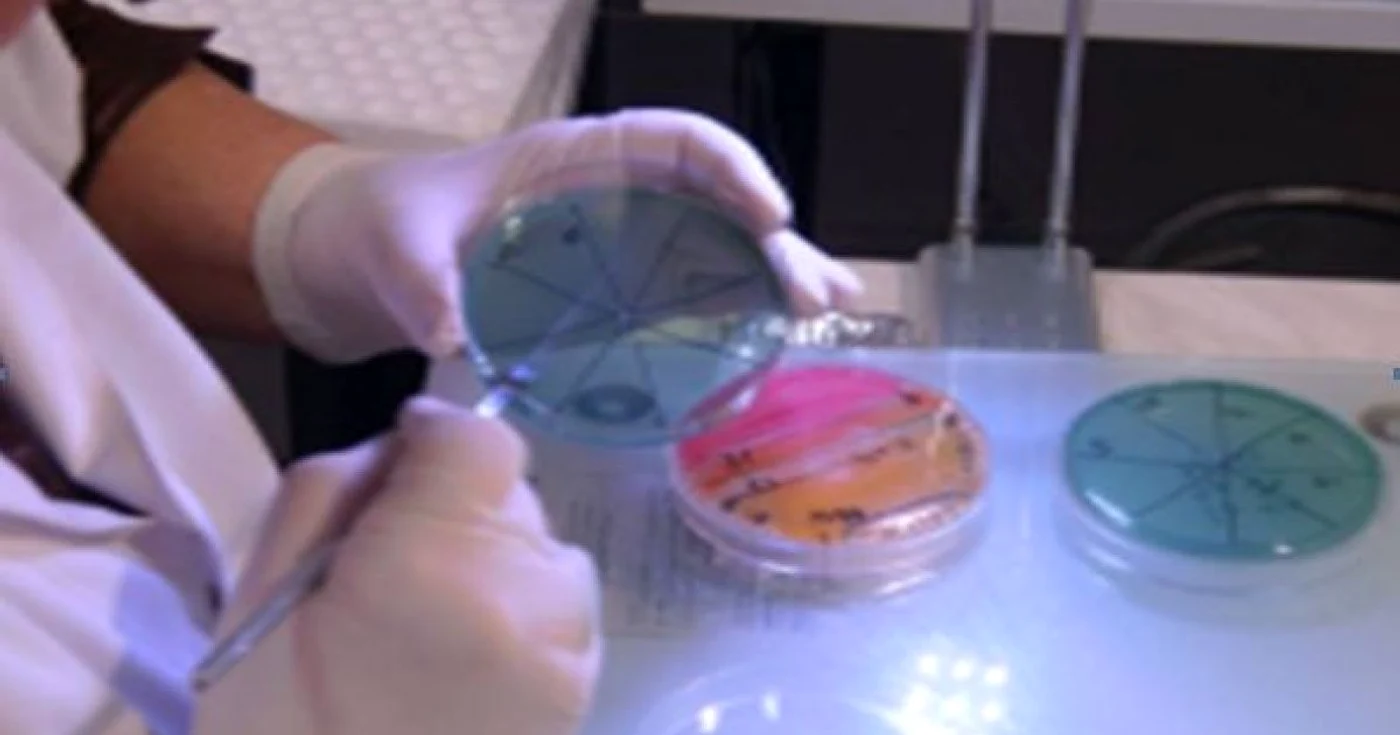 Specialiştii norvegieni lucrează la sterilizarea nămolului rezidual şi a biomasei marine reziduale