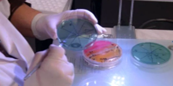 Specialiştii norvegieni lucrează la sterilizarea nămolului rezidual şi a biomasei marine reziduale