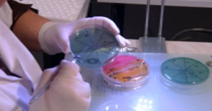 Specialiştii norvegieni lucrează la sterilizarea nămolului rezidual şi a biomasei marine reziduale