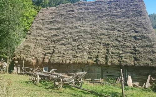 transalpina apuseni catune