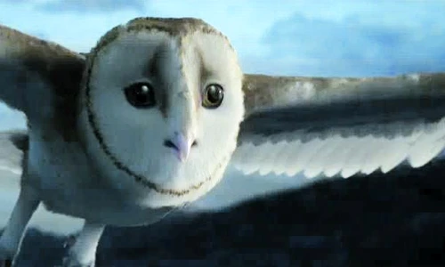 1 47785 original jpg jpeg