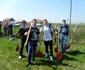 PLANTARE PUIETI SM