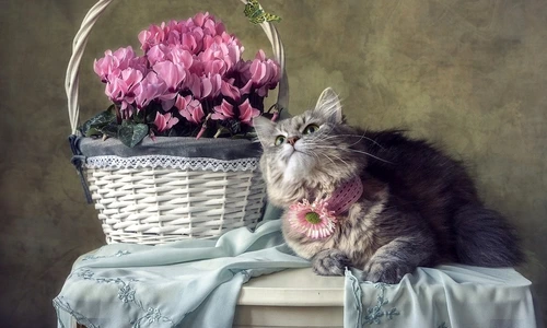 7 shutterstock 612388928 jpg jpeg