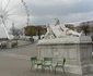 P1110042 JPG