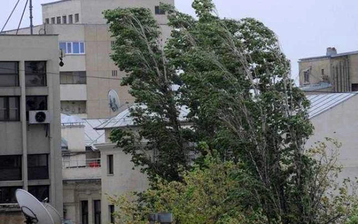 Vânt puternic în toate regiunile FOTO Adevărul