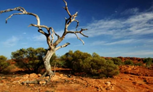 Primele cinci luni ale lui 2010, cele mai calde din istoria măsurătorilor meteorologice jpeg