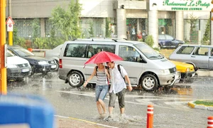 CLIIMA20120521 0150 1 jpeg