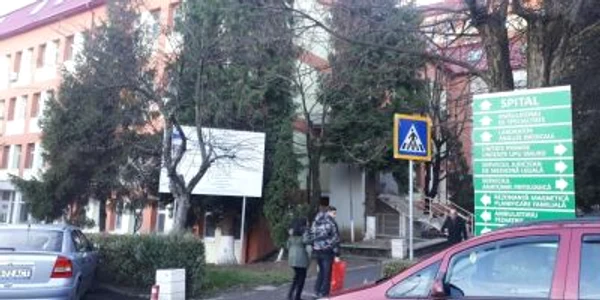 sju zalau