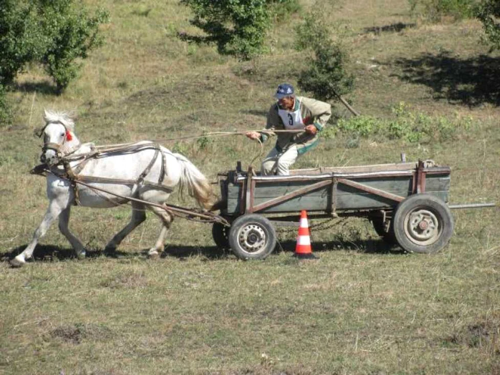 Raliul Carutelor la Marpod