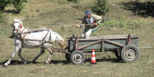 Raliul Carutelor la Marpod