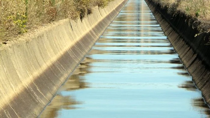 
    Puştiul a pierit în apele canalului de irigaţii  