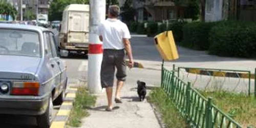 Bacau: Animalele de companie le fac viaţa grea stăpânilor