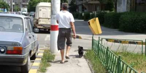 Bacau: Animalele de companie le fac viaţa grea stăpânilor