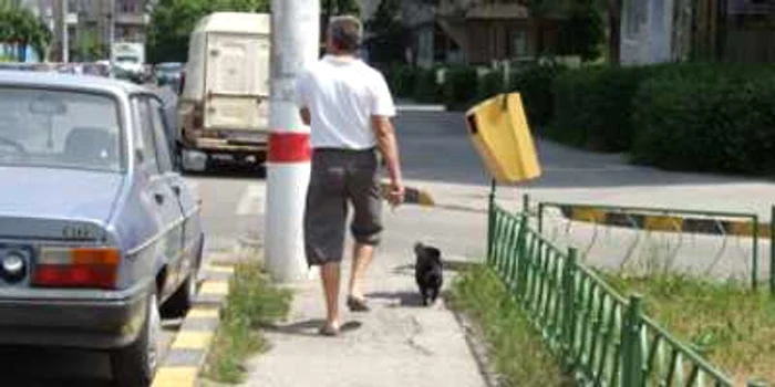 Bacau: Animalele de companie le fac viaţa grea stăpânilor