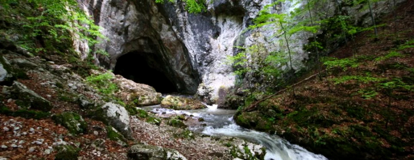 Peştera Cioclovina. FOTO: Daniel Guţă. ADEVĂRUL.