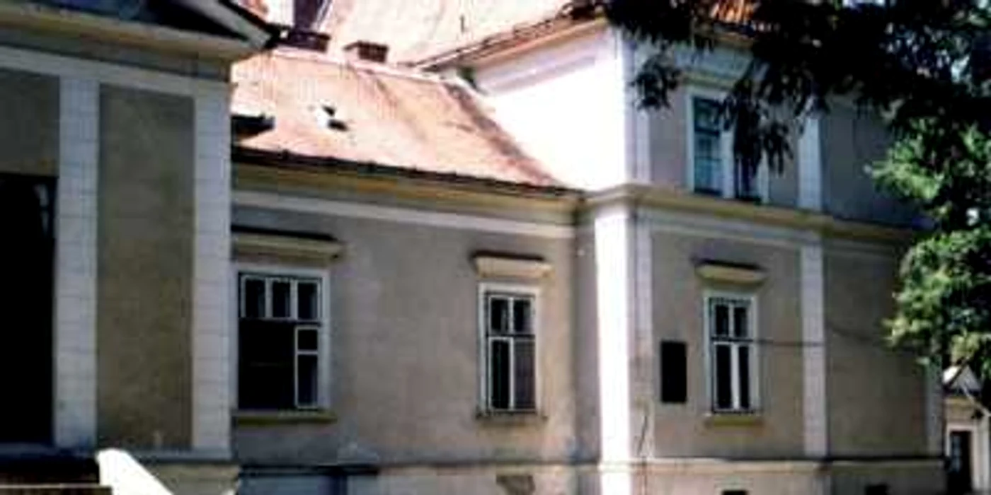 Castelul de la Cighid