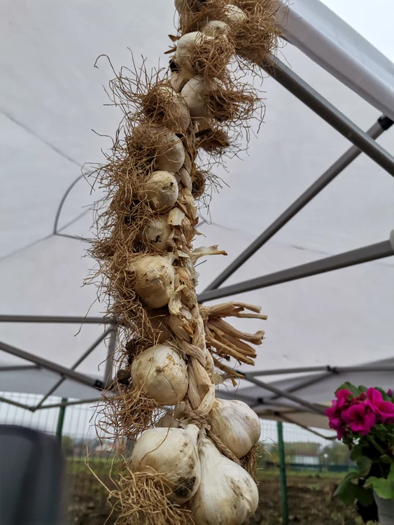 Marin Stoica și-a așezat cum a știut mai bine marfa, pentru a fi cât mai ușor de reperat FOTo: A.M.