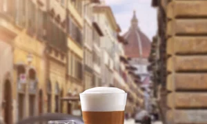 Vis de Renaștere, vis de Florența jpeg