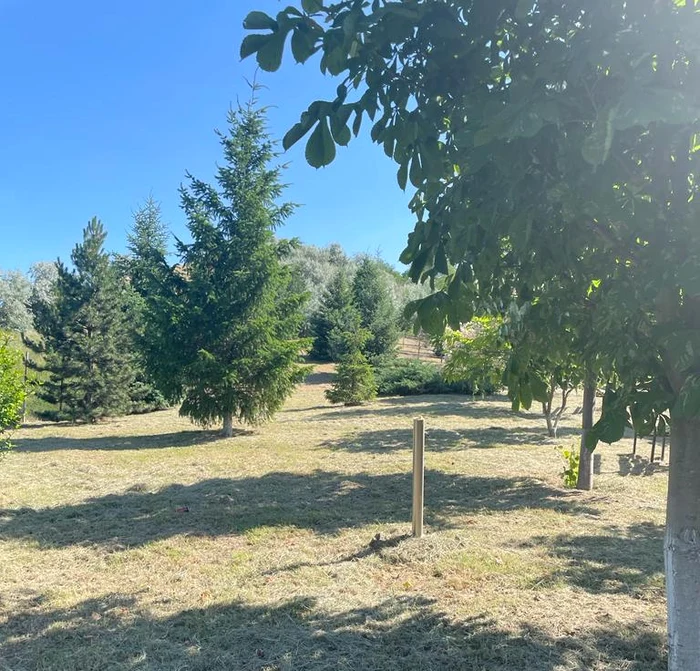 Parcul dintre Fântânele și Scânteiești FOTO: Primăria Scânteiesti