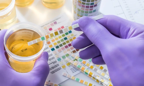 1 shutterstock 1245033115 jpg jpeg