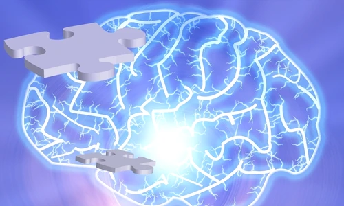 1 shutterstock 4903525 jpg jpeg