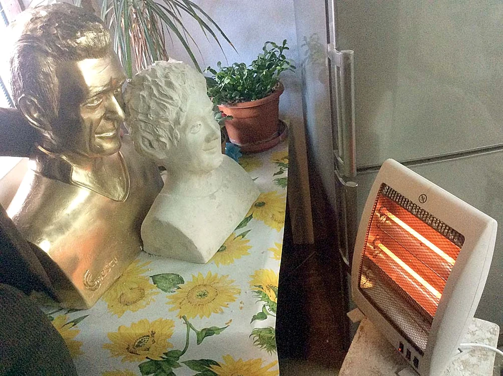 Busturile au fost ținute  în fața radiatorului, pentru  a se usca mai repede