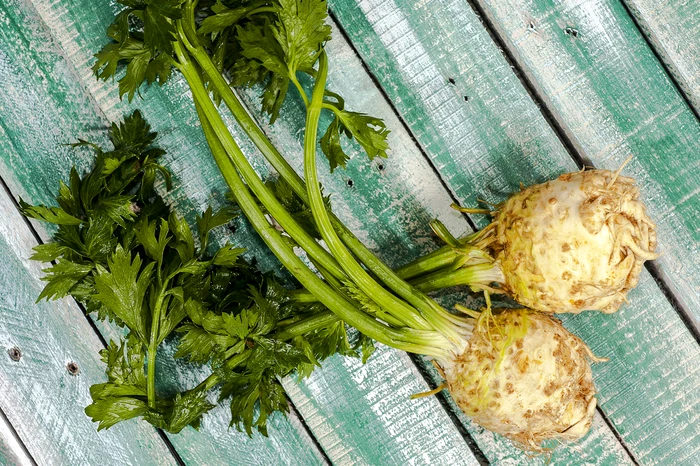 
    Țelina este un remediu valoros pentru afecțiunile reumaticeSursa foto: Arhiva Click  