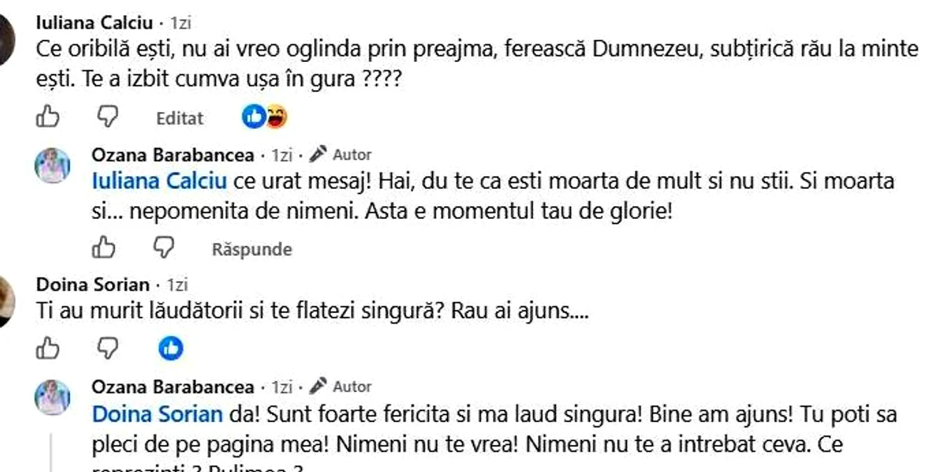 Insultele au curs în comentarii. FOTO Facebook