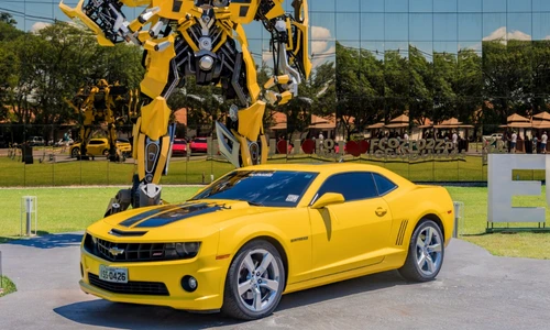 1 shutterstock 781227196 jpg jpeg