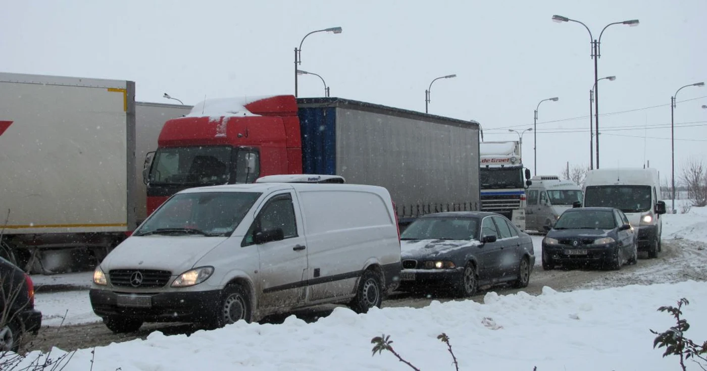 Moldcargo