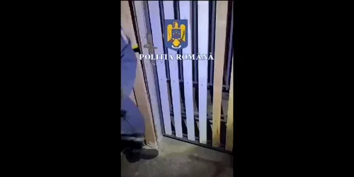 WhatsApp Video 2024 10 08 at 08 02 32 mp4 thumbnail png