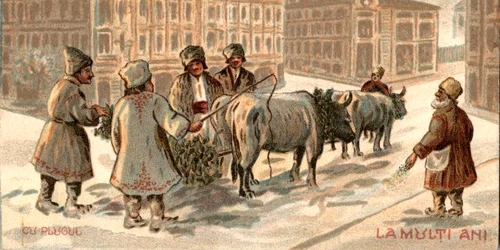 foto imagoromaniae jpeg