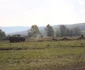 soldati 4