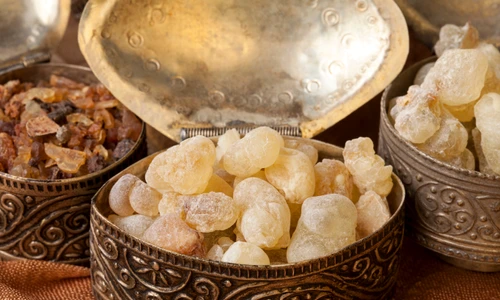 1 shutterstock 787393630 jpg jpeg