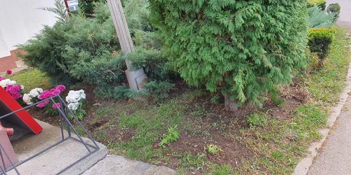 Spațiul verde din fața Bibliotecii Județene I.H.Rădulescu din Târgoviște a fost călcat de hoți. FOTO  Agnes Erich / Facebook