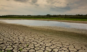seceta pamânt crapat foto shutterstock jpg